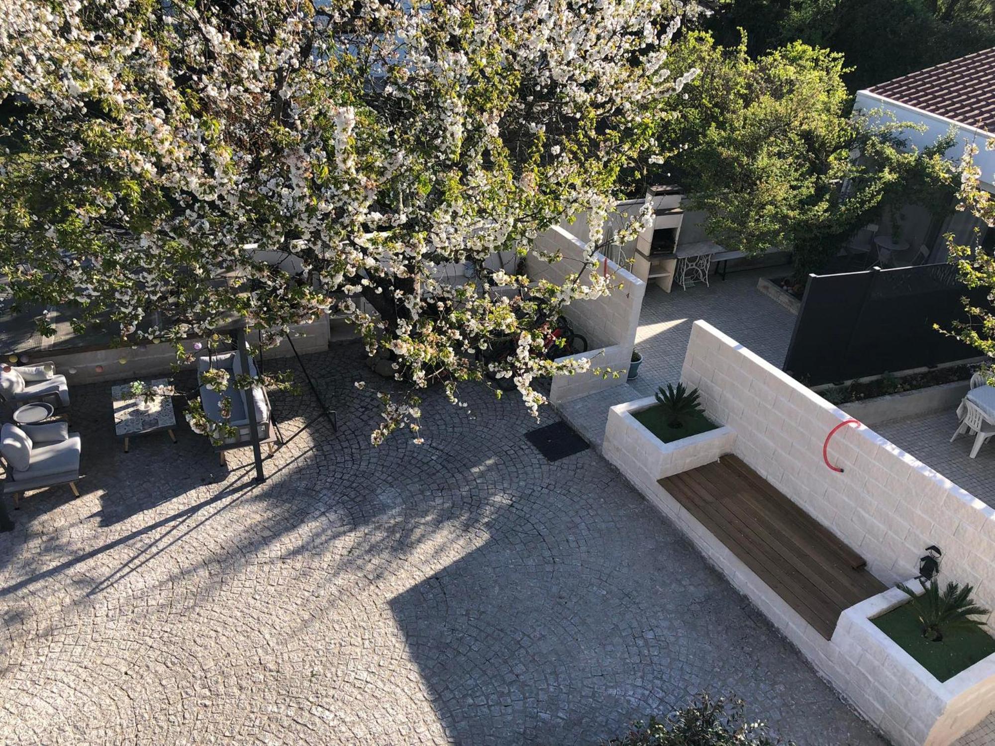 Góis Casa Da Avo Olinda 빌라 외부 사진