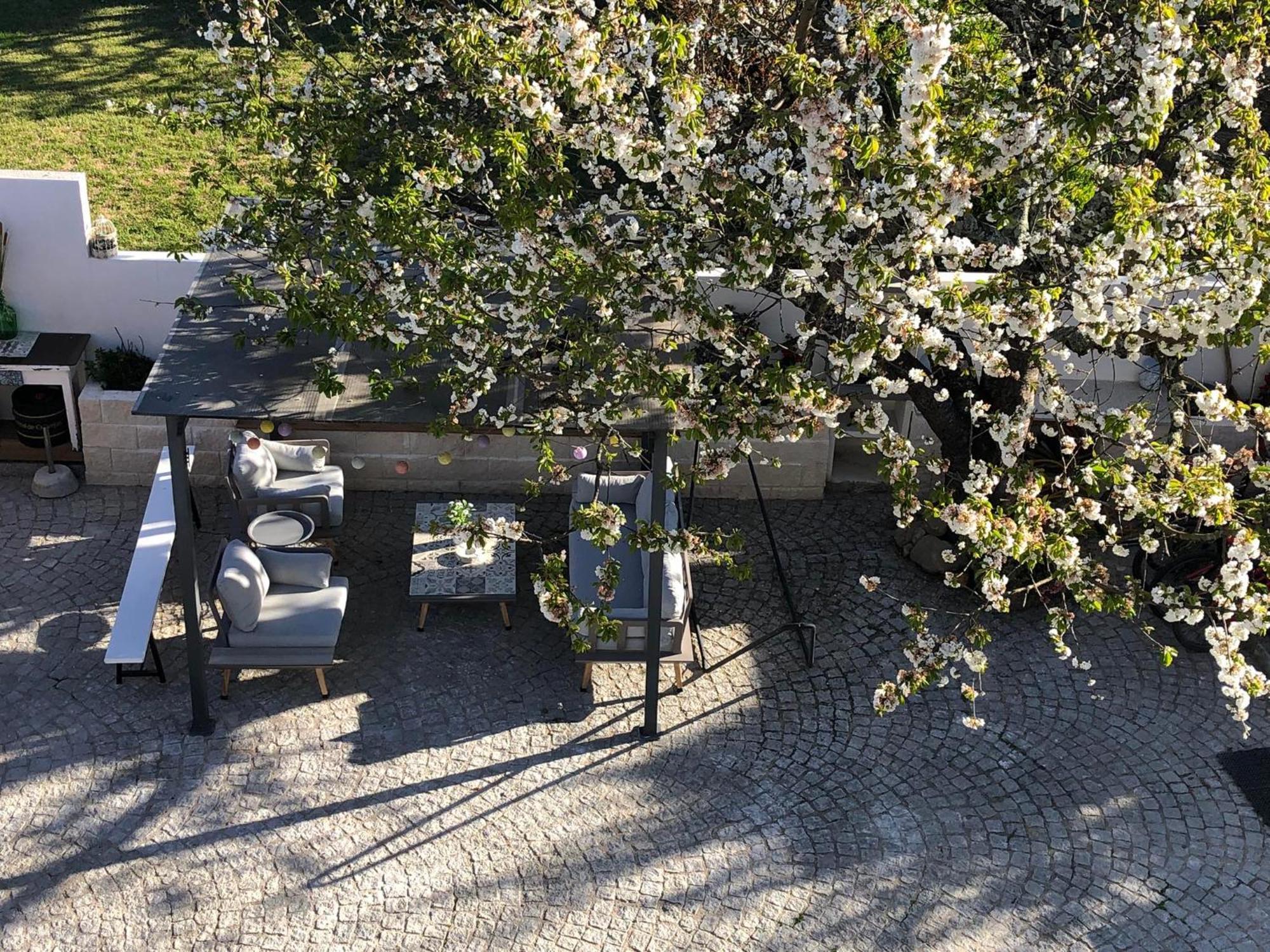 Góis Casa Da Avo Olinda 빌라 외부 사진
