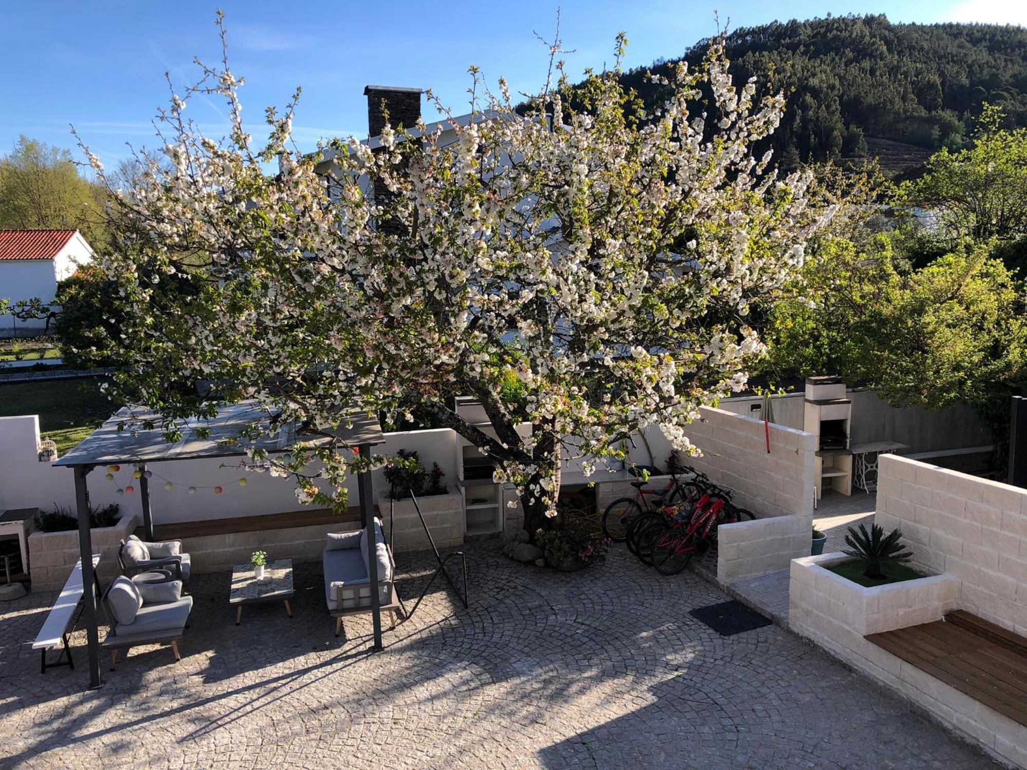 Góis Casa Da Avo Olinda 빌라 외부 사진