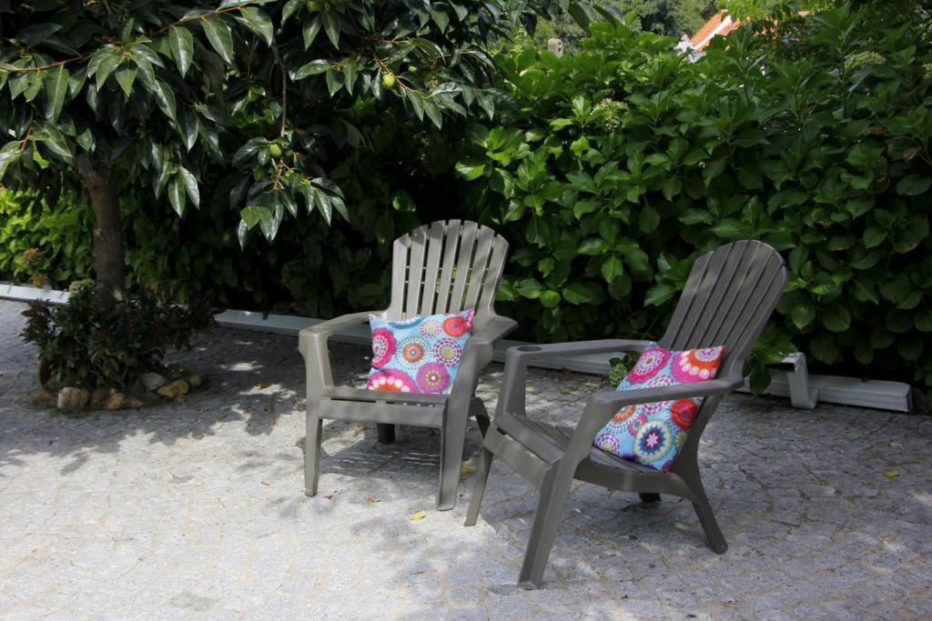 Góis Casa Da Avo Olinda 빌라 외부 사진