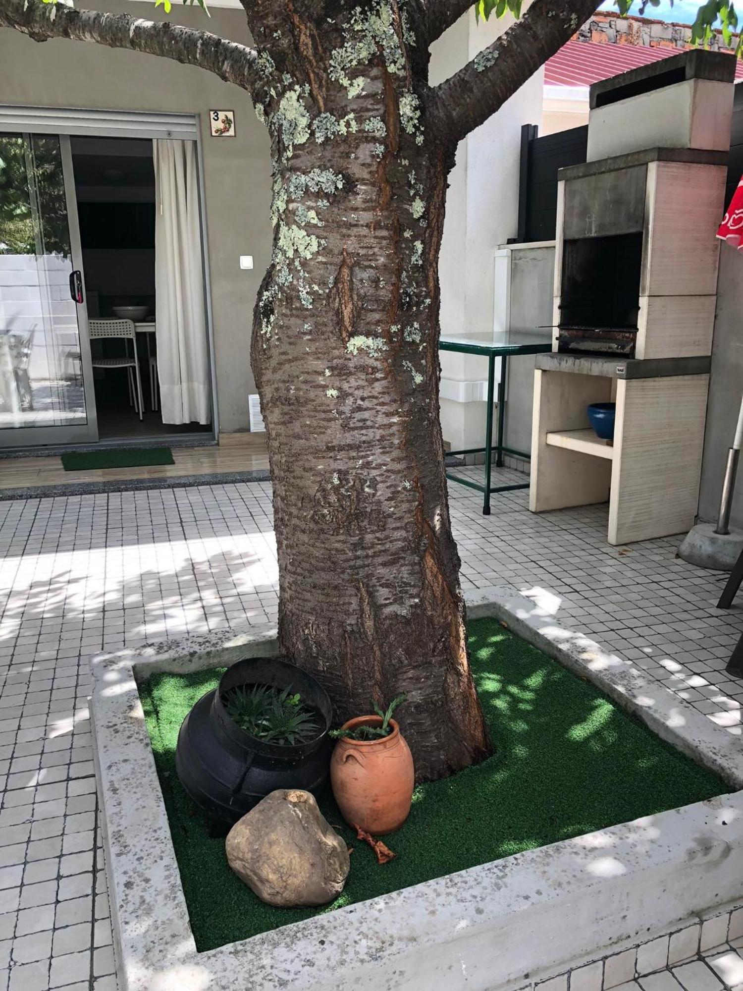 Góis Casa Da Avo Olinda 빌라 외부 사진